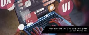 what Platform Do Most Web Designers