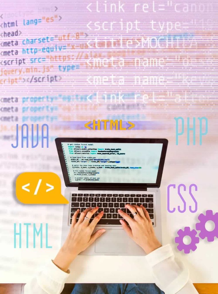 Web Design & Development